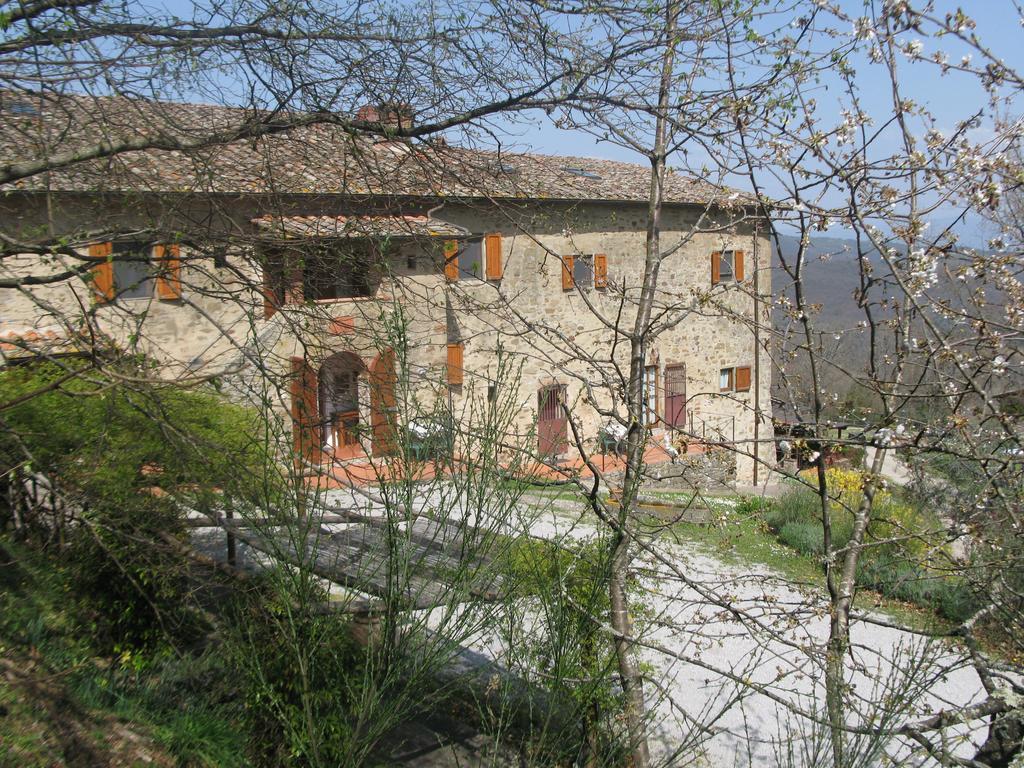 La Ghiandaia Casa Vacanza Lucolena in Chianti Quarto foto